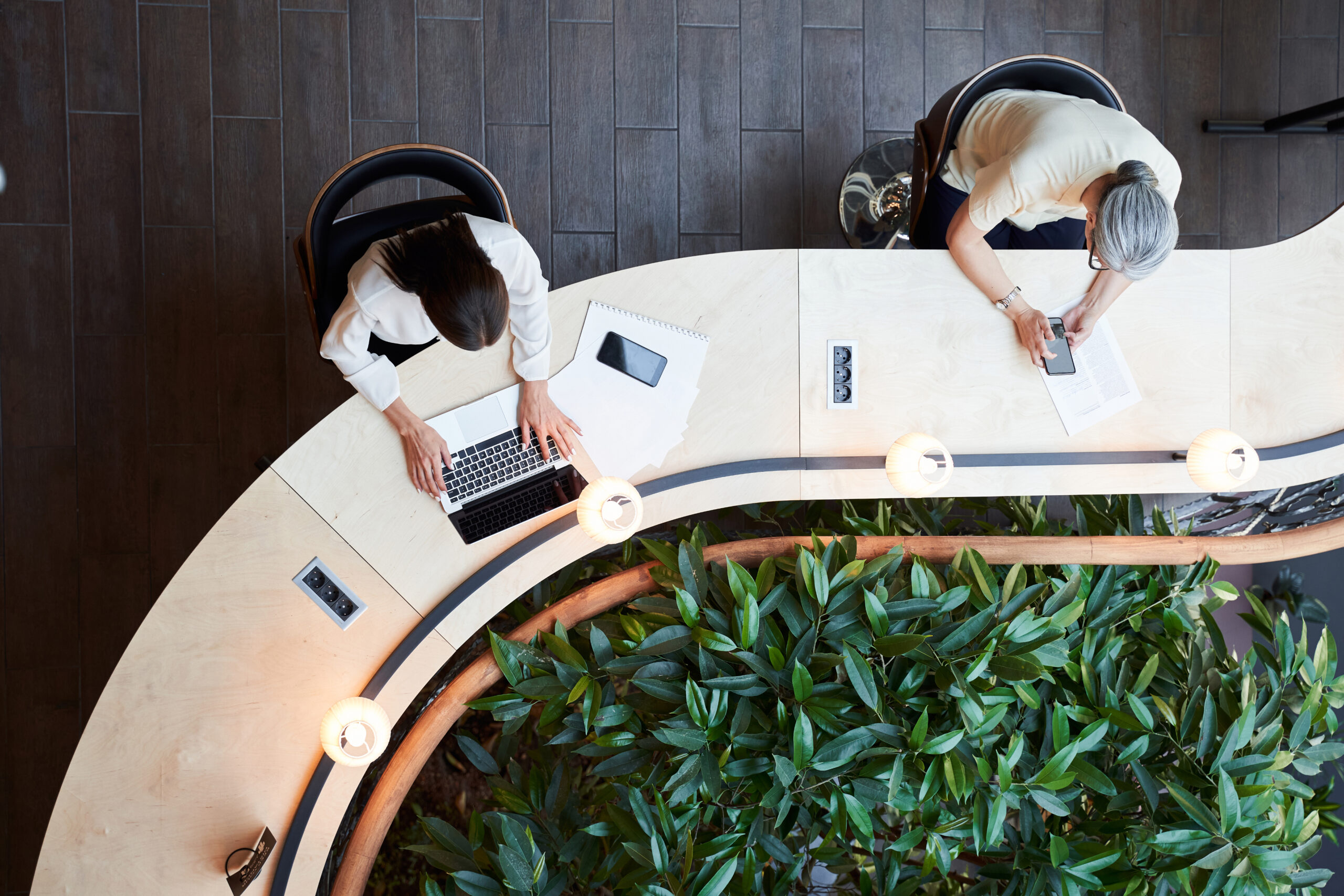 Overhead view of two people working at a curved wooden desk, surrounded by lush indoor plants.