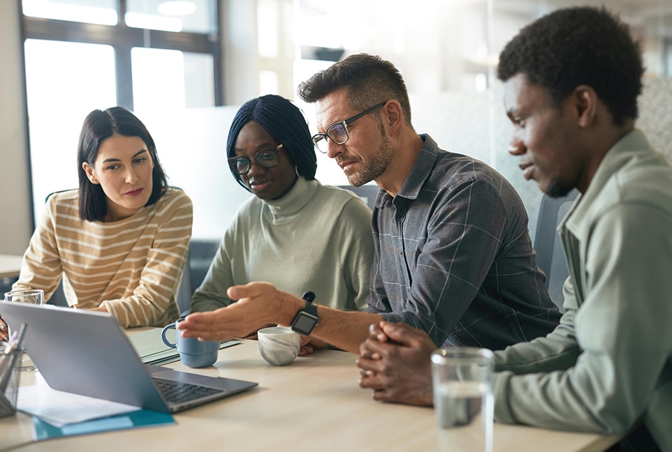 Merger Integration CIO Advisory & Conversion Risk Management​